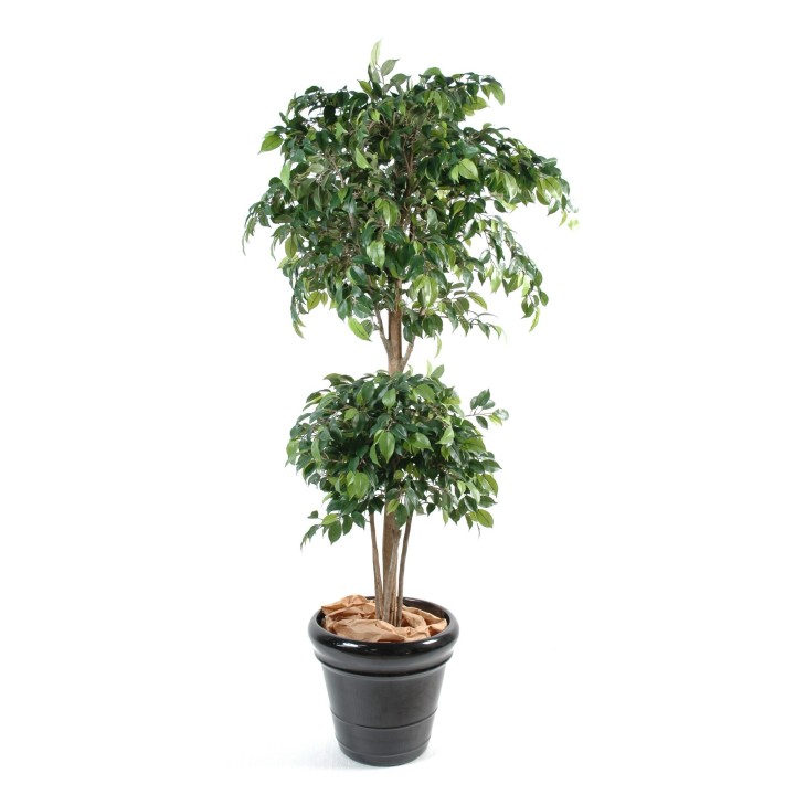 Kunst-Ficus Double Ball, 180cm, lebensecht grün
