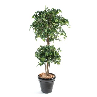 Künstlicher Ficus Doppelball Baum, 150 cm, Grün