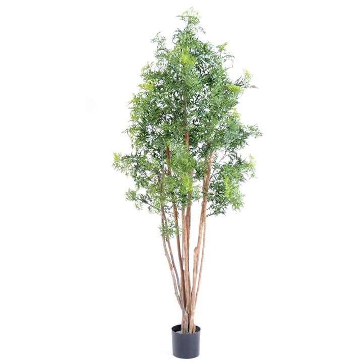 Exotischer Kunstbaum Aralia Ming Nitida, 180cm, sattgrün
