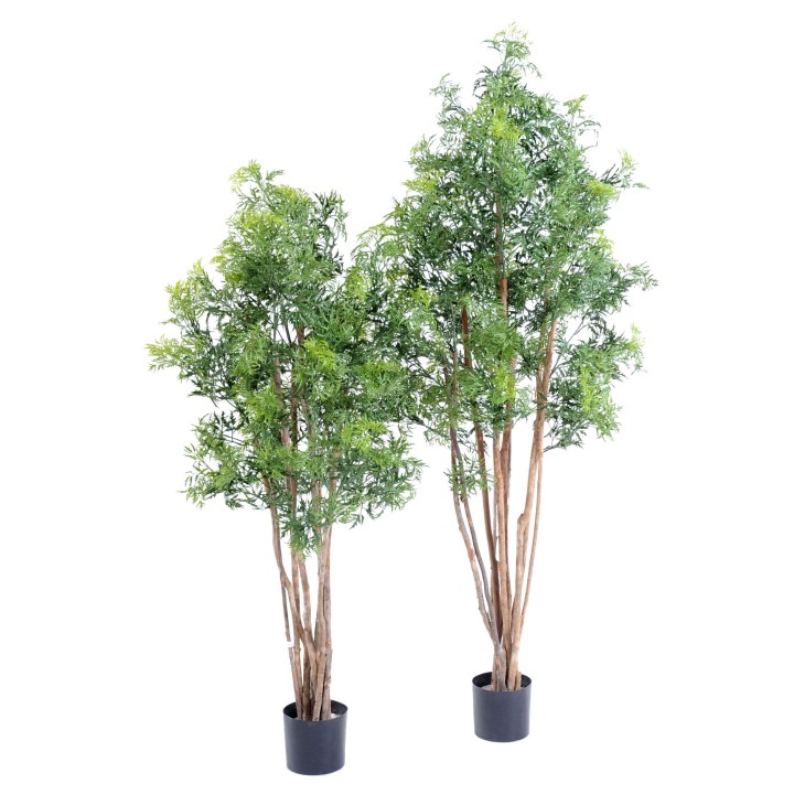 Aralia Ming Nitida Kunstpflanze 160cm - Naturgetreu Grün