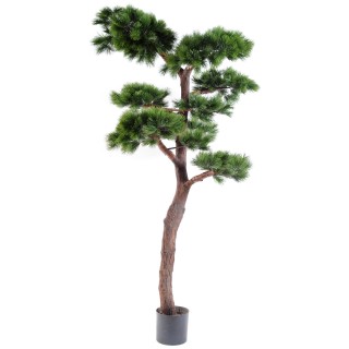 Künstliche Bonsai-Kiefer 220cm - UV-Beständig Grün