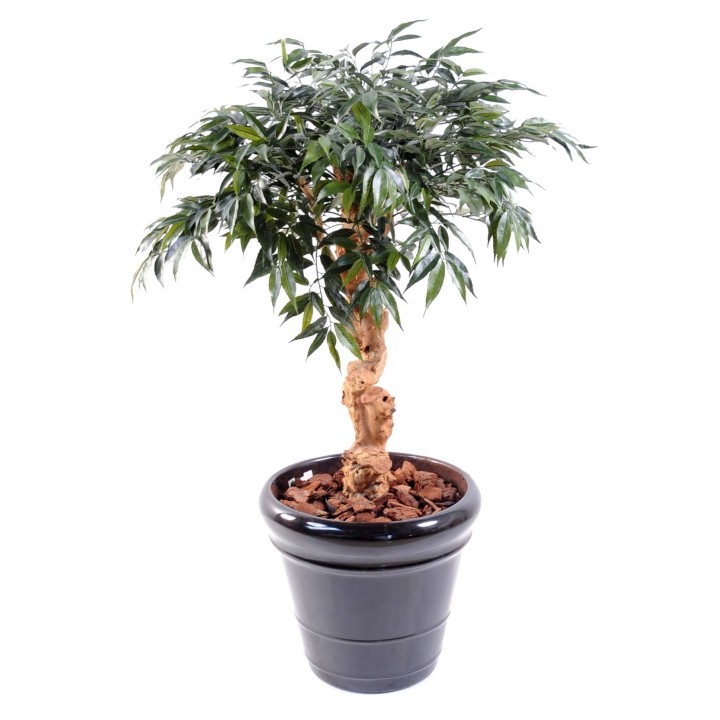 Künstlicher Shirakashi Umbrella Baum 95cm Grün