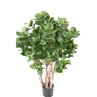 Künstlicher Clusia-Busch 95 cm, Grün