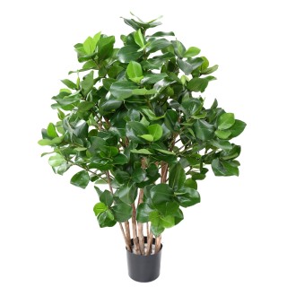 Künstlicher Clusia-Busch 95cm Grün