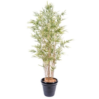 Künstlicher Shiroshima Bambus, 165cm, farbenfroh