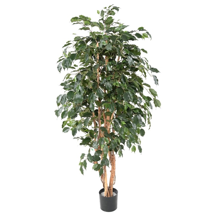 Künstlicher Ficus Exotica Baum, 180 cm, Grün
