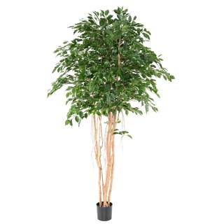Künstlicher Ficus Exotica Baum 260cm Grün