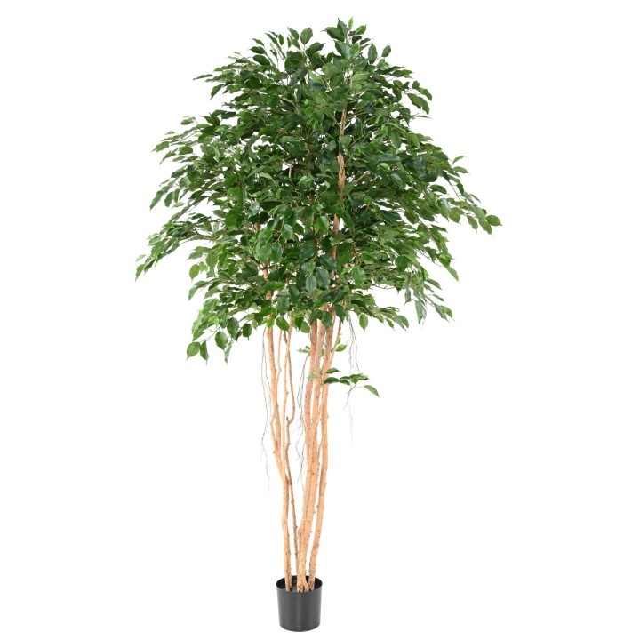 Künstlicher Ficus Exotica Baum 260cm Grün