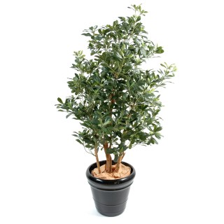 Künstlicher Pittosporum Baum - 150 cm - Grün