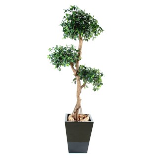 Künstlicher Ficus Retusa Baum, 150cm, Grün