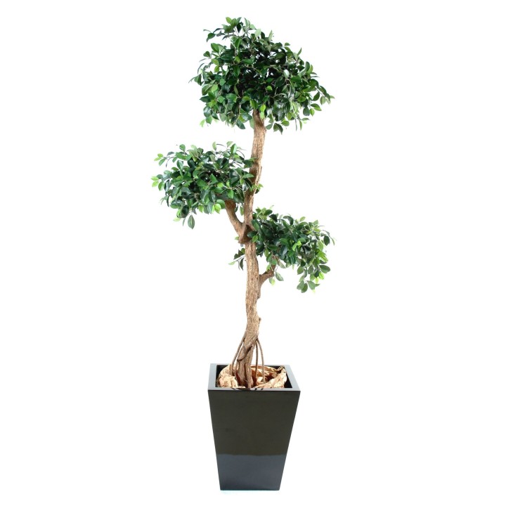 Künstlicher Ficus Retusa Baum, 150cm, Grün