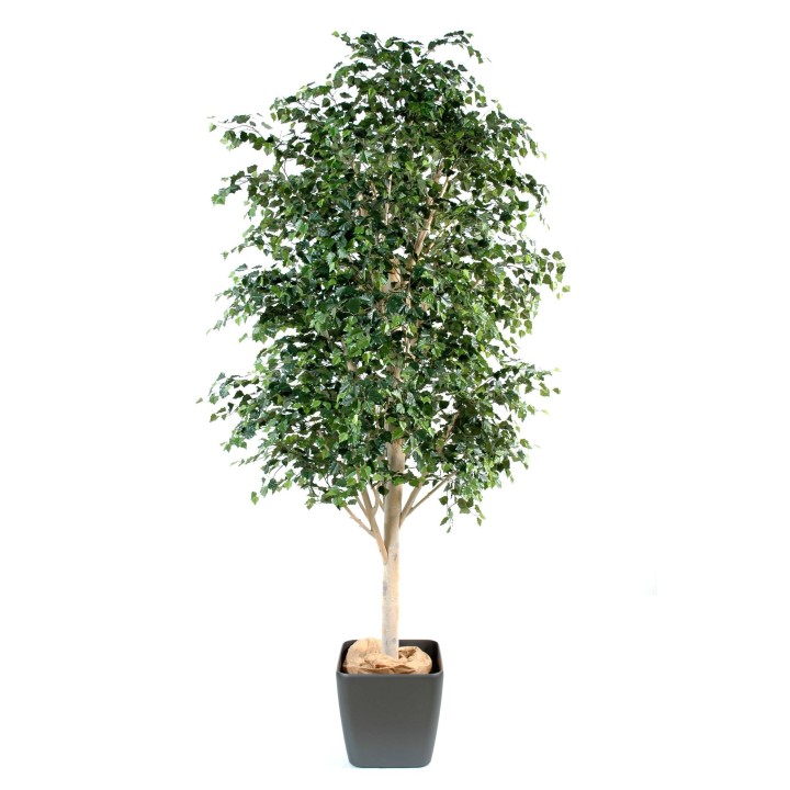 Premium Kunst-Birkenbaum 350cm - Naturgetreue Anmut