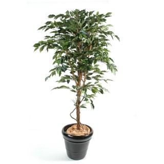 Künstlicher Ficus Baum Deluxe 210cm