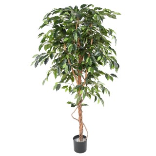 Ficus Kunstpflanze 180cm Hoch Grün
