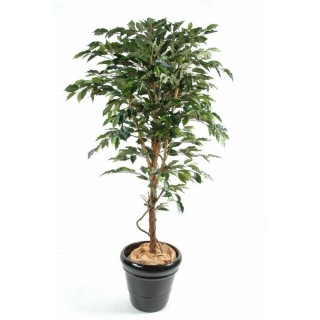 Kunstficus Baum Grün 150cm