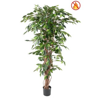 Künstlicher Ficus – 180 cm – Grünes Blattwerk