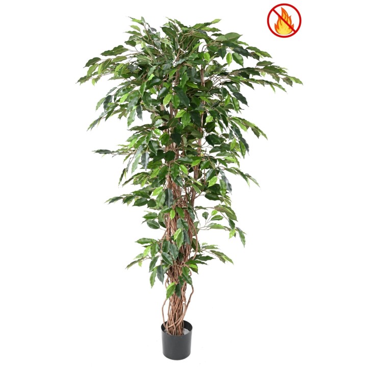 Künstlicher Ficus – 180 cm – Grünes Blattwerk