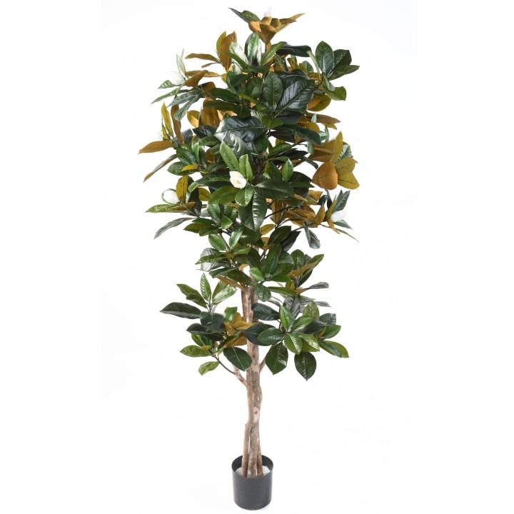 Hochwertiger Künstlicher Magnolienbaum Weiss, ca. 185 cm
