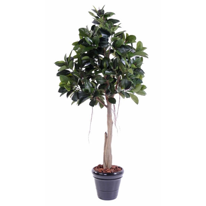 Künstlicher Gummibaum 220 cm Grün