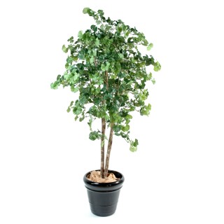 Premium Künstlicher Ginkgo-Baum, ca. 240cm Hoch, Grünes Laub