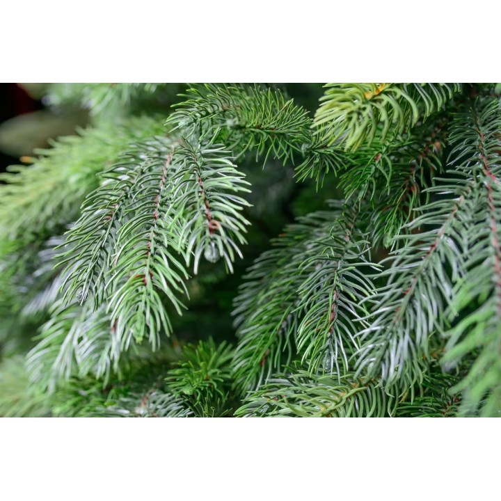 Künstlicher Weihnachtsbaum Nevada Premium-Kiefer PE/PVC 150 cm