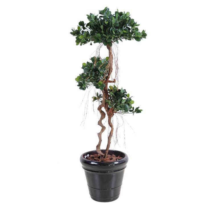 Naturgetreuer Ficus Panda Kunstbaum 170cm Grün
