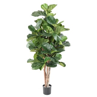 Ficus Lyrata Kunstpflanze - 180cm Grün - Detailgetreu