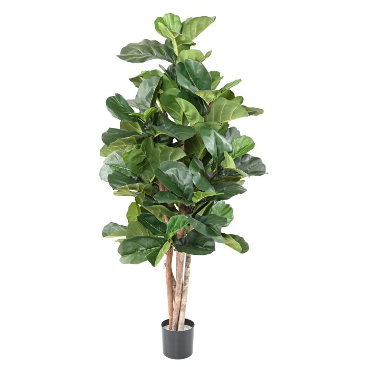 Ficus Lyrata Kunstpflanze - 180cm Grün - Detailgetreu