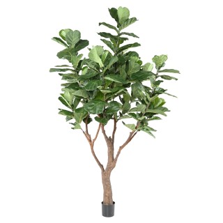 Kuenstlicher Ficus Lyrata 290cm Gruen