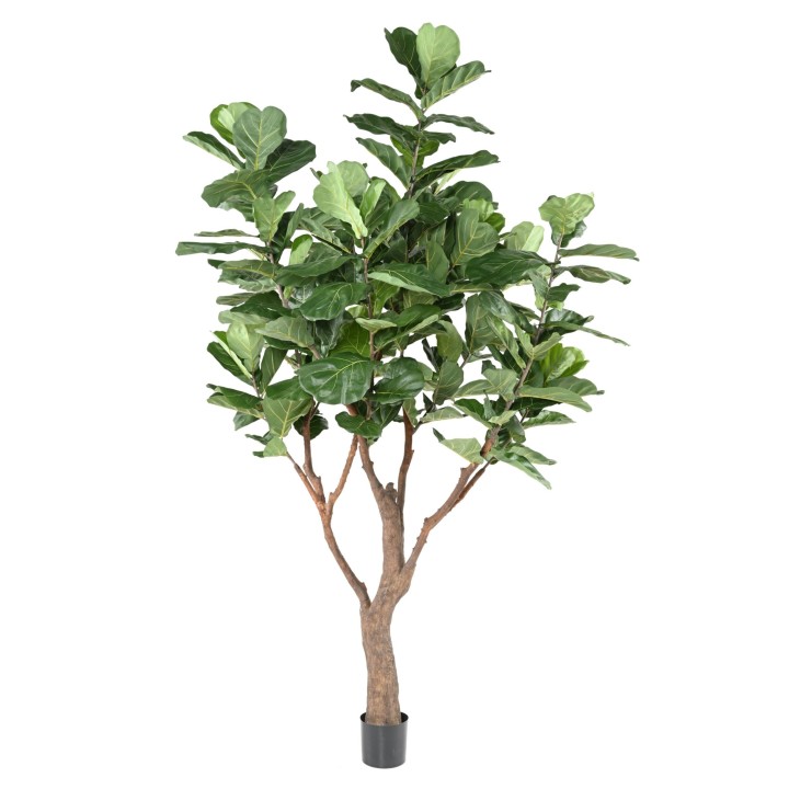 Kuenstlicher Ficus Lyrata 290cm Gruen