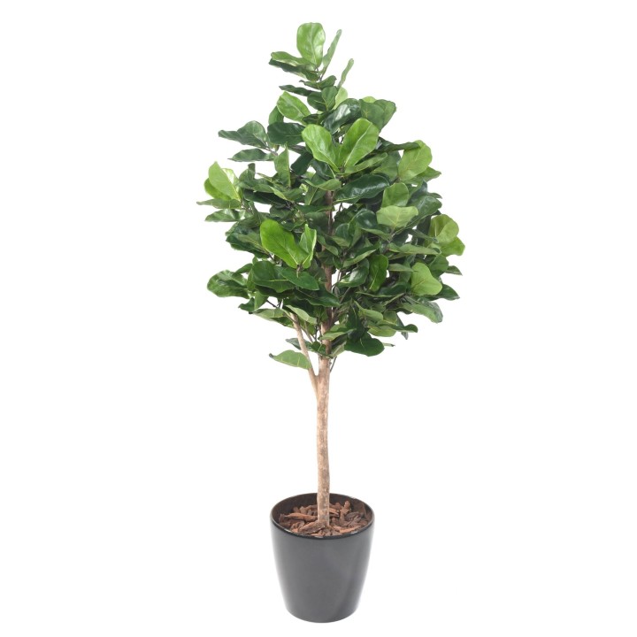 Ficus Lyrata Kunstbaum 180 cm - Naturgetreues Grün