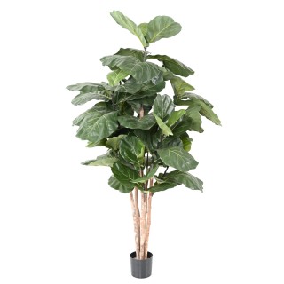 Künstlicher Ficus Lyrata Baum 190cm - Naturgetreue Optik