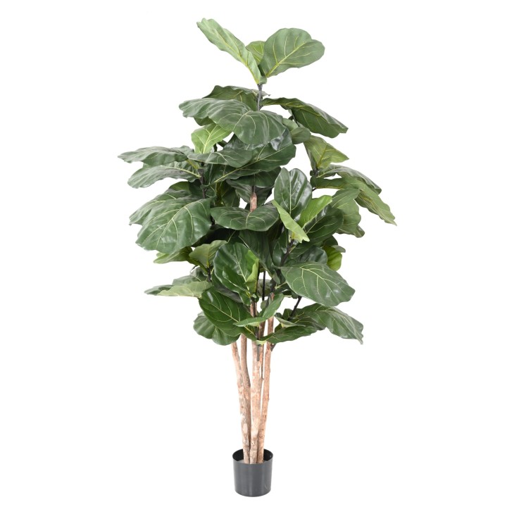 Künstlicher Ficus Lyrata Baum 190cm - Naturgetreue Optik