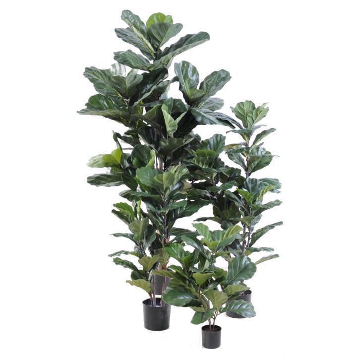 Künstliche Geigenfeige Ficus Lyrata, 90cm, Grün