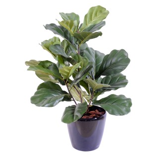 Künstlicher Ficus Lyrata Kunstpflanze 60cm Grün