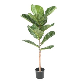 Künstlicher Ficus Lyrata - 100cm Hoch - Naturgetreu Grün