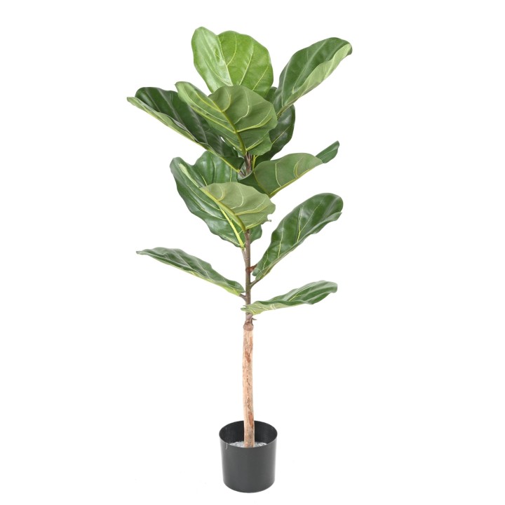 Künstlicher Ficus Lyrata - 100cm Hoch - Naturgetreu Grün