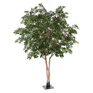 Künstlicher Ficus Black Olive Baum, 310 cm, Grün