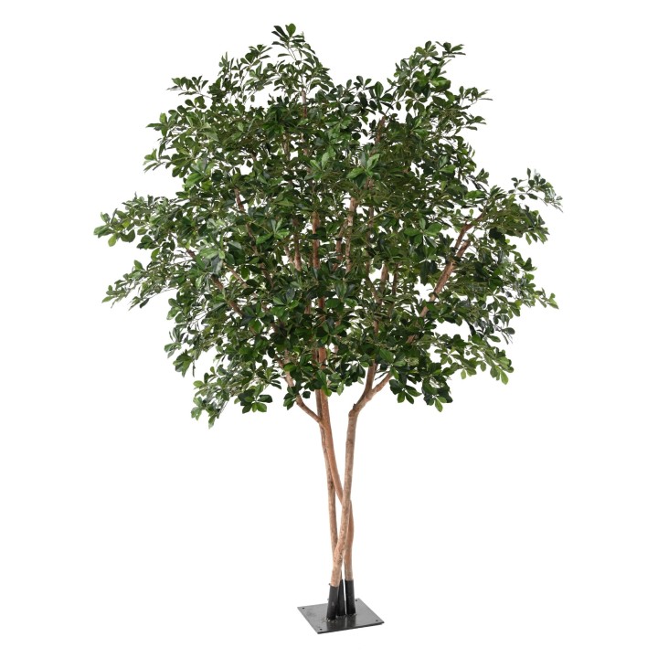 Künstlicher Ficus Black Olive Baum, 310 cm, Grün