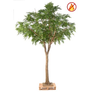 Exklusiver Kunst-Bucida Baum 360cm Grün