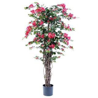 Künstliche Bougainvillea Fuchsia, 150 cm
