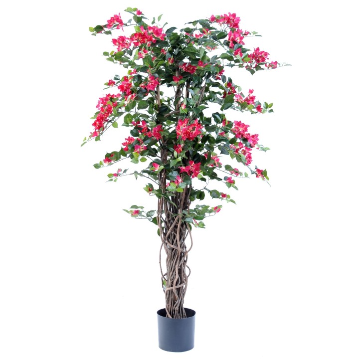 Künstliche Bougainvillea Fuchsia, 150 cm