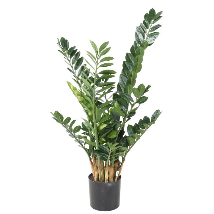Künstliche Zamia Pflanze, 110cm, Grün