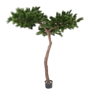Künstliche Regenschirmkiefer 240cm - Immergrün und Pflegeleicht