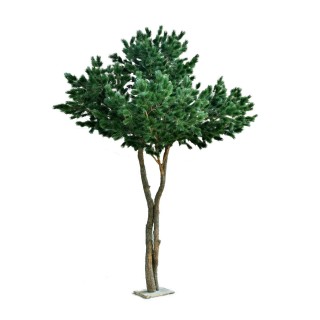 Künstliche Maritime Kiefer Grün 430 cm