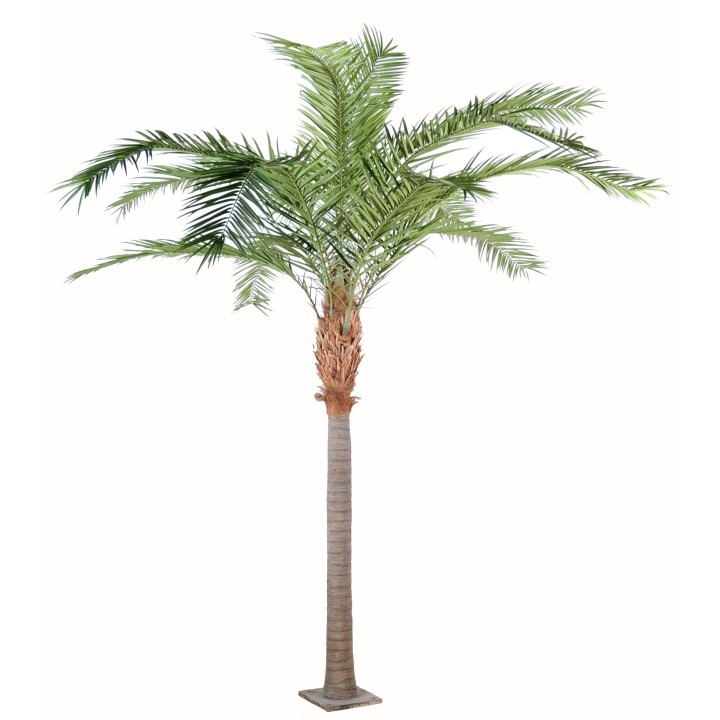 Grosse Künstliche Phoenixpalme - 440cm Hoch - Grün