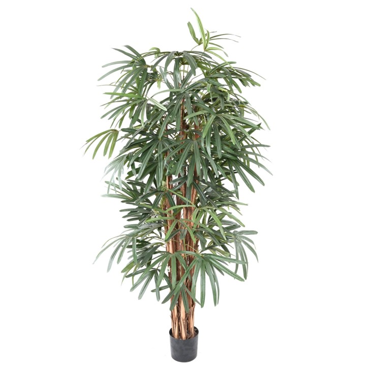 Künstliche Rhapis Lady Palme 150cm, Grün