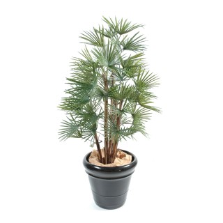 Künstliche Livistona-Palme, 110cm, Grün