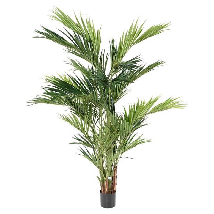 Künstlicher Kentia Baum - 270cm, üppiges Grün