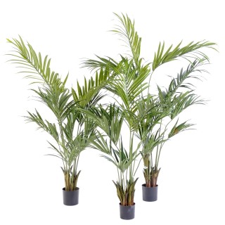 Elegante Künstliche Kentia-Palme - 150 cm - Grün